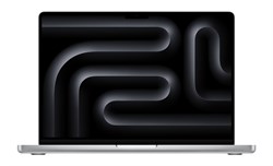 MacBook Pro 14 M4 Max (16/40) 128GB 1TB Silver (Серебристый) английская клавиатура (KB-US) Z1FD0000M, Z1FD001E3, Standard display Z1FD0000M - фото 26179