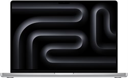 MacBook Pro 16 M4 Pro (14/20) 48GB 1TB Silver (Серебристый) английская клавиатура (KB-US) Z1FQ00005, Standard display Z1FQ00005 - фото 26185
