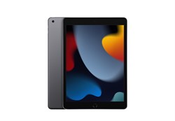 iPad 10.2 (9-го поколения) 2021, 64 ГБ LTE Space gray (Серый космос) MK473RU - фото 52445