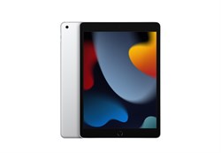 iPad 10.2 (9-го поколения) 2021, 64 ГБ LTE Silver (Серебристый) MK493RU - фото 52446