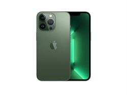 iPhone 13 Pro 128 ГБ, Alpine Green (Альпийский зелёный) MNDT3LL - фото 52521