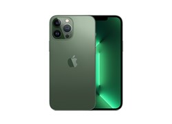 iPhone 13 Pro Max 256 ГБ, Alpine Green (Альпийский зелёный) MNCQ3LL - фото 52546