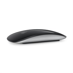 Мышь Magic Mouse, черный MMMQ3 - фото 53434