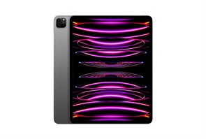 iPad Pro 12 M1 512GB Wi-Fi Space gray (Серый космос) MHNK3RU