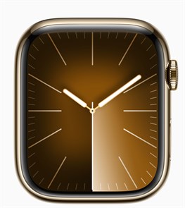 Watch Series 9 45 мм корпусс из нержавеющей стали Золотой MRQL3 миланский браслет цвет Графитовый MRQL3-MTJQ3-Z0YQ